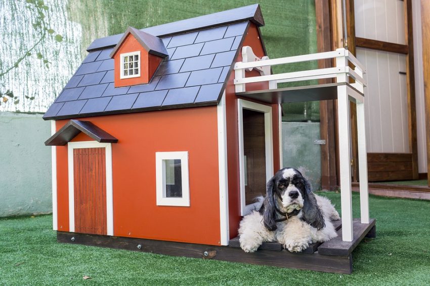 dog house builder